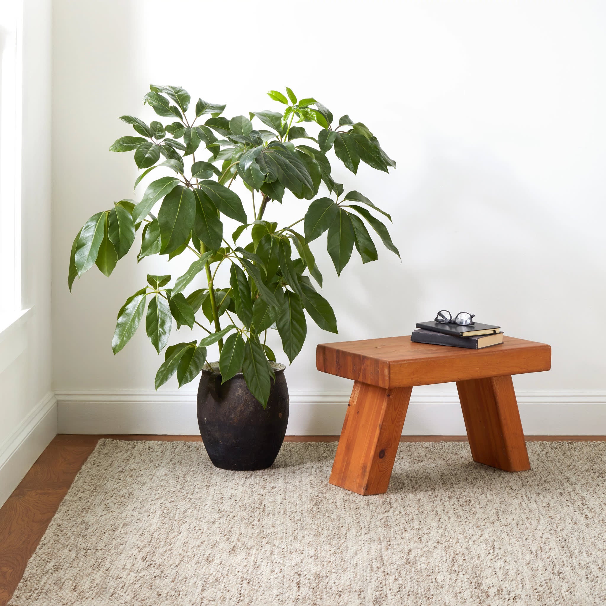 Loggia Handwoven Wool Rug | Natural – Annie Selke