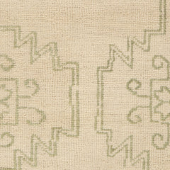 Dicyra Traditional Vintage Rug Swatch | Ivory