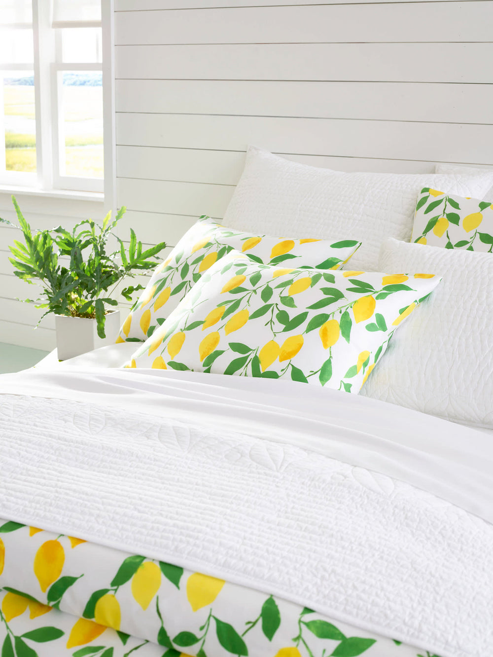 Tea & Toast Quilted Sham | White