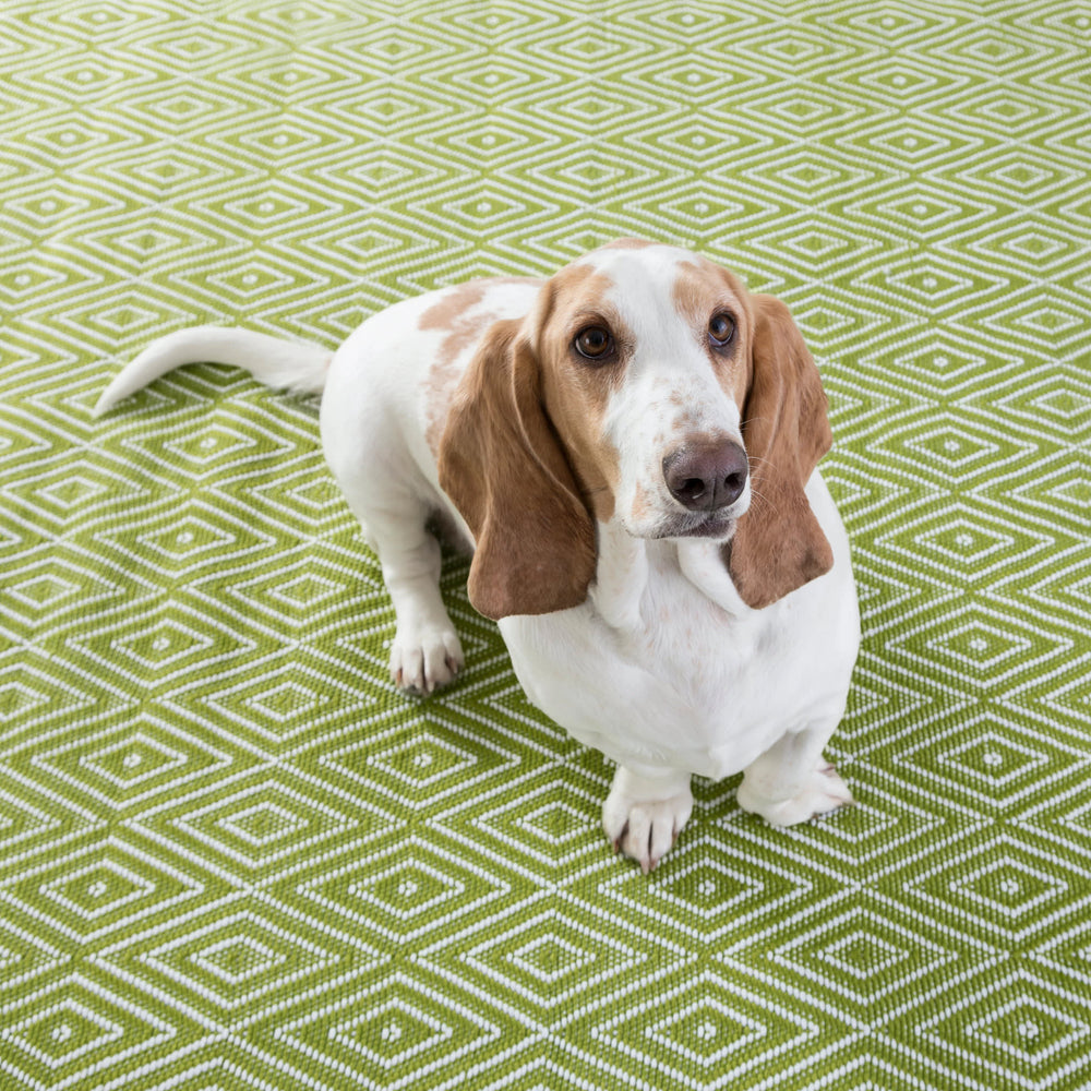 Diamond Handwoven Indoor/Outdoor Rug | Sprout/White
