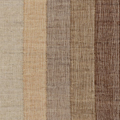 Tavira Modern Bordered Indoor Rug Swatch | Brown