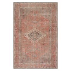 Wilene Medallion Rug | Multicolor