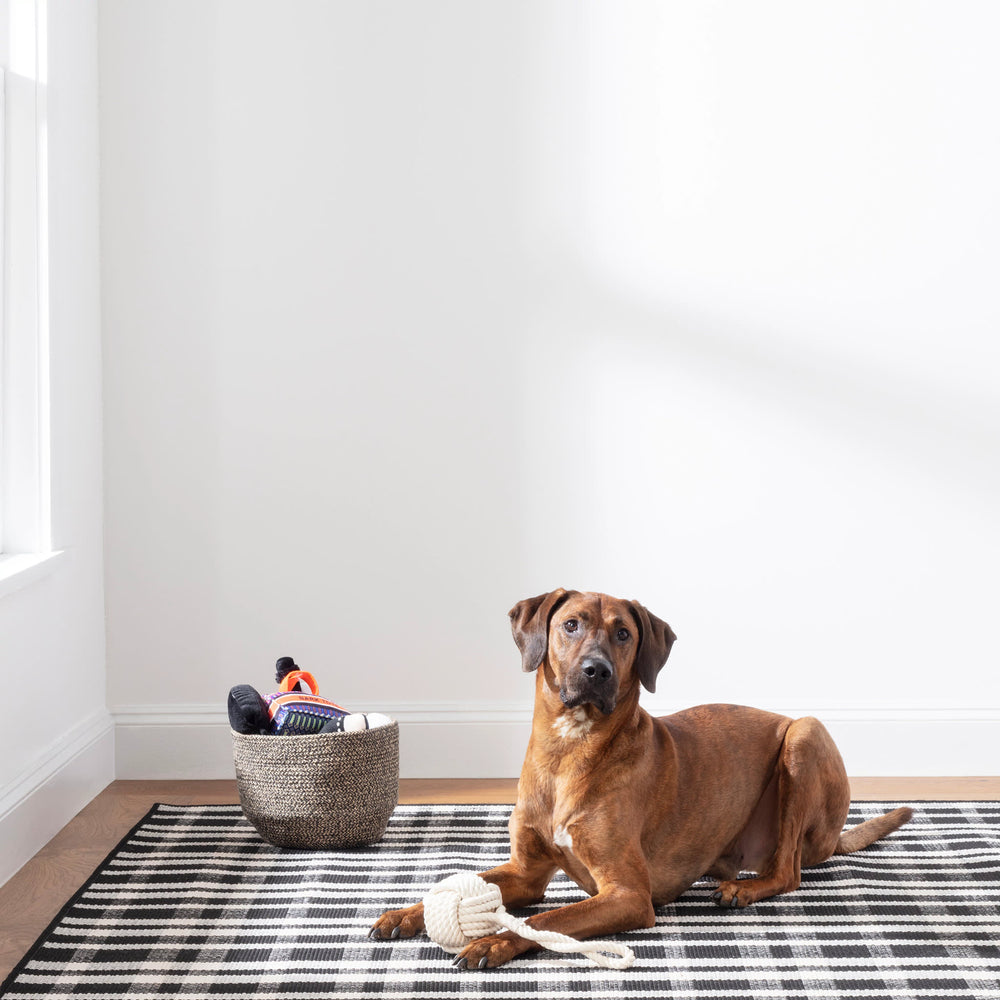 Tattersall Handwoven Indoor/Outdoor Custom Rug | Black