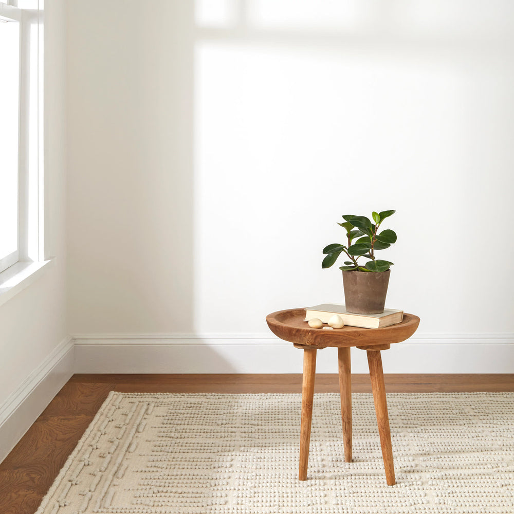 Campbell Handwoven Wool Rug | Plaster