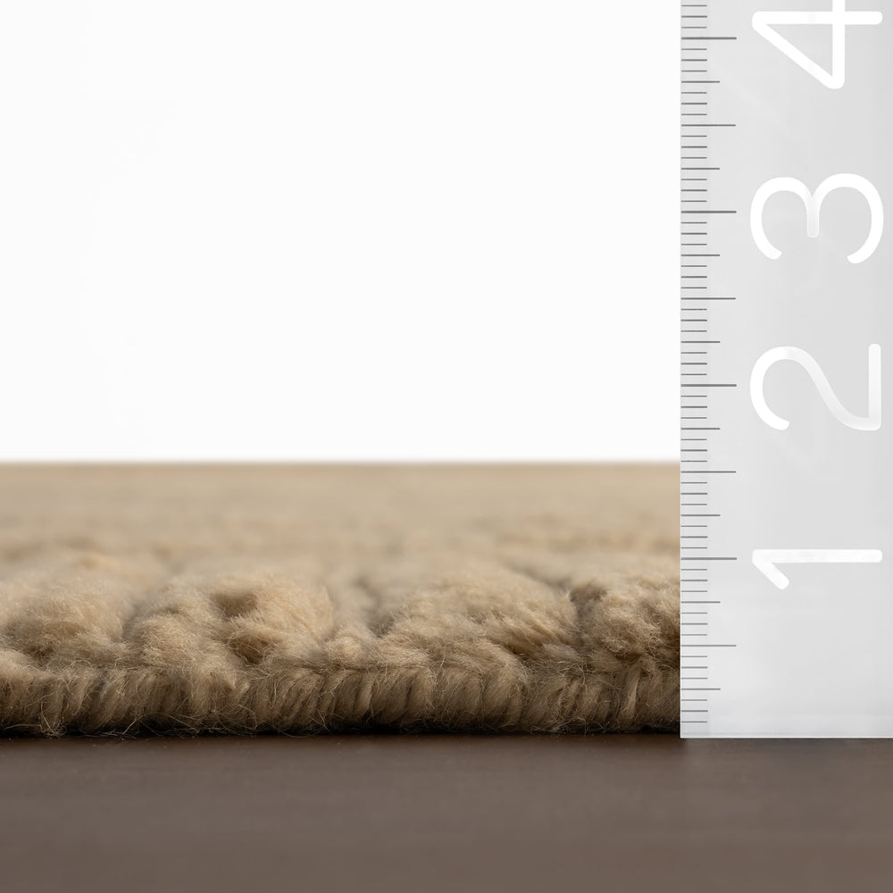 Slione Bohemian Striped Rug | Beige
