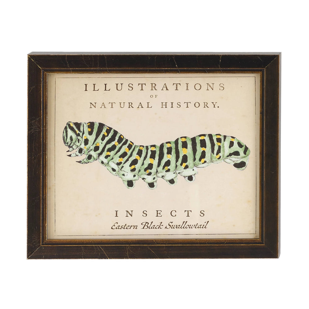 Vintage Caterpillar Wall Art | Ivory