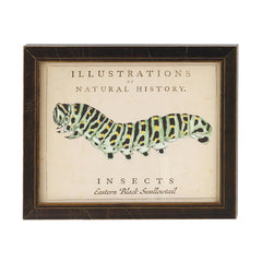 Vintage Caterpillar Wall Art | Ivory