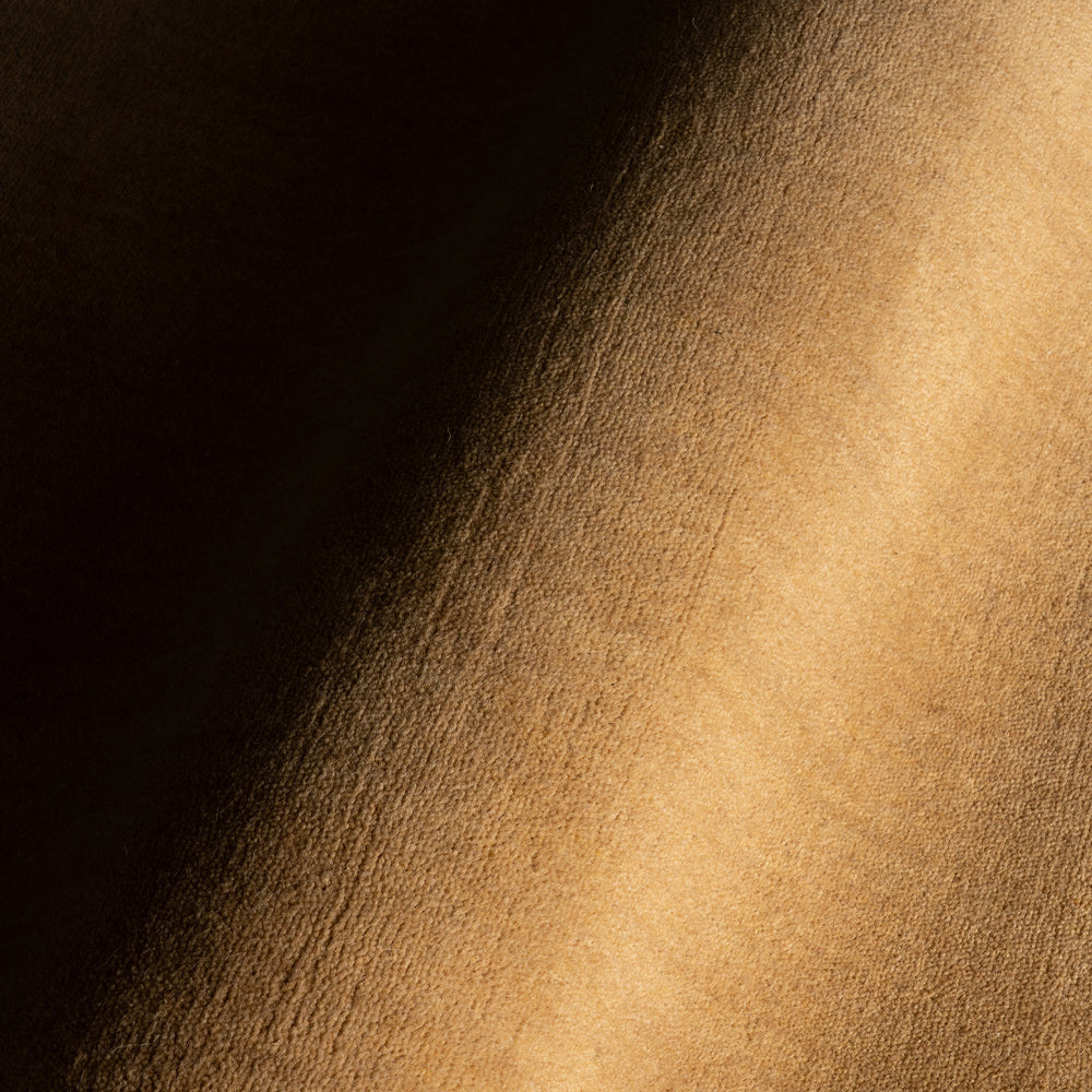 Taniea Modern Tan Rug | Tan