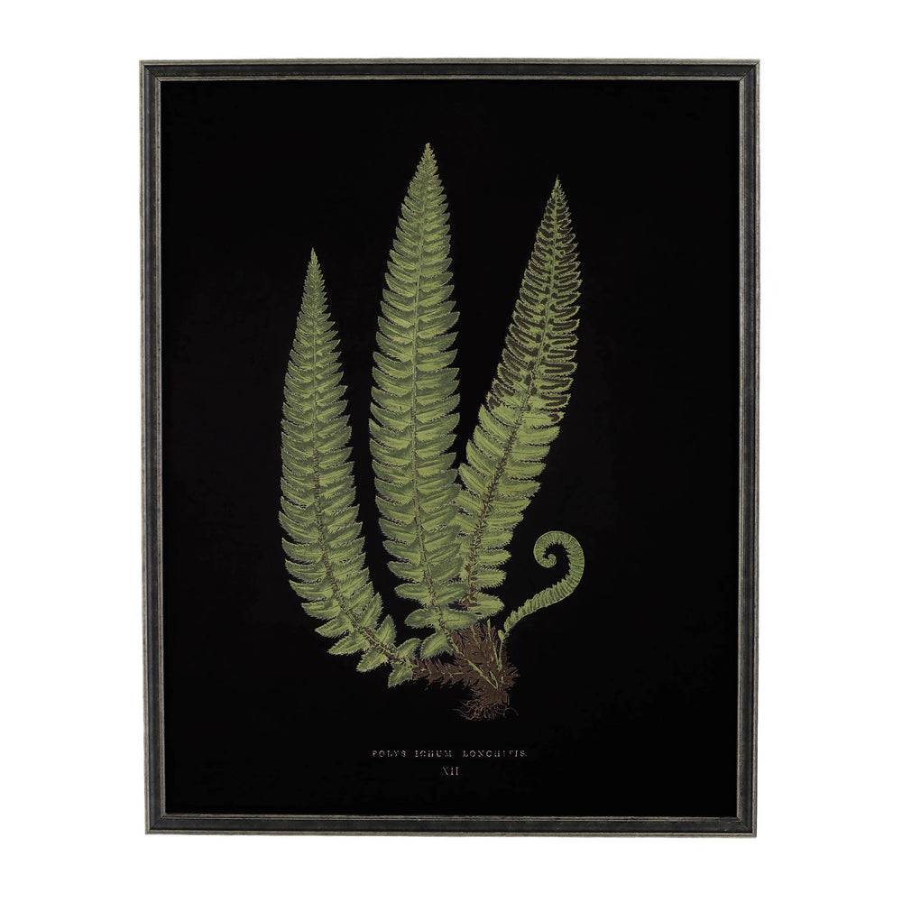 Vintage Fern Wall Art | Black