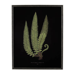 Vintage Fern Wall Art | Black