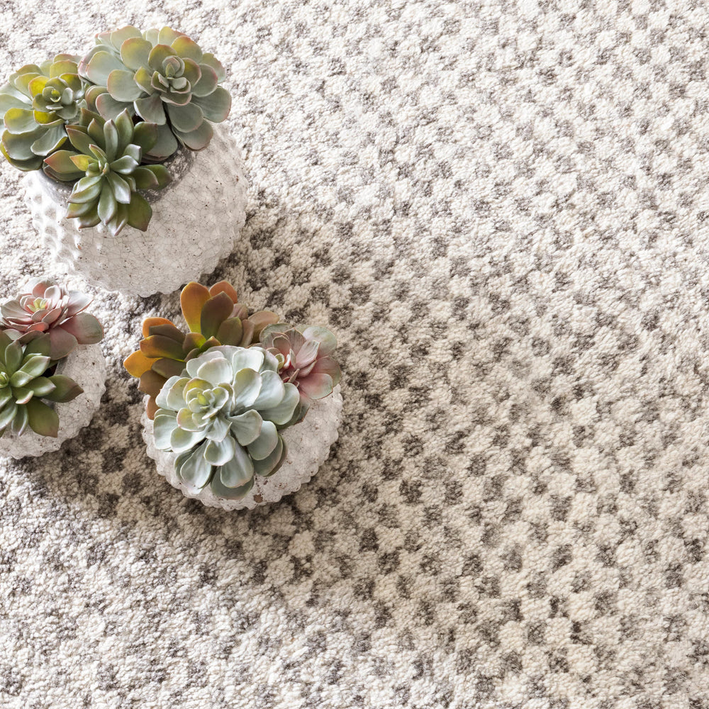 Citra Hand Knotted Wool Rug | Grey