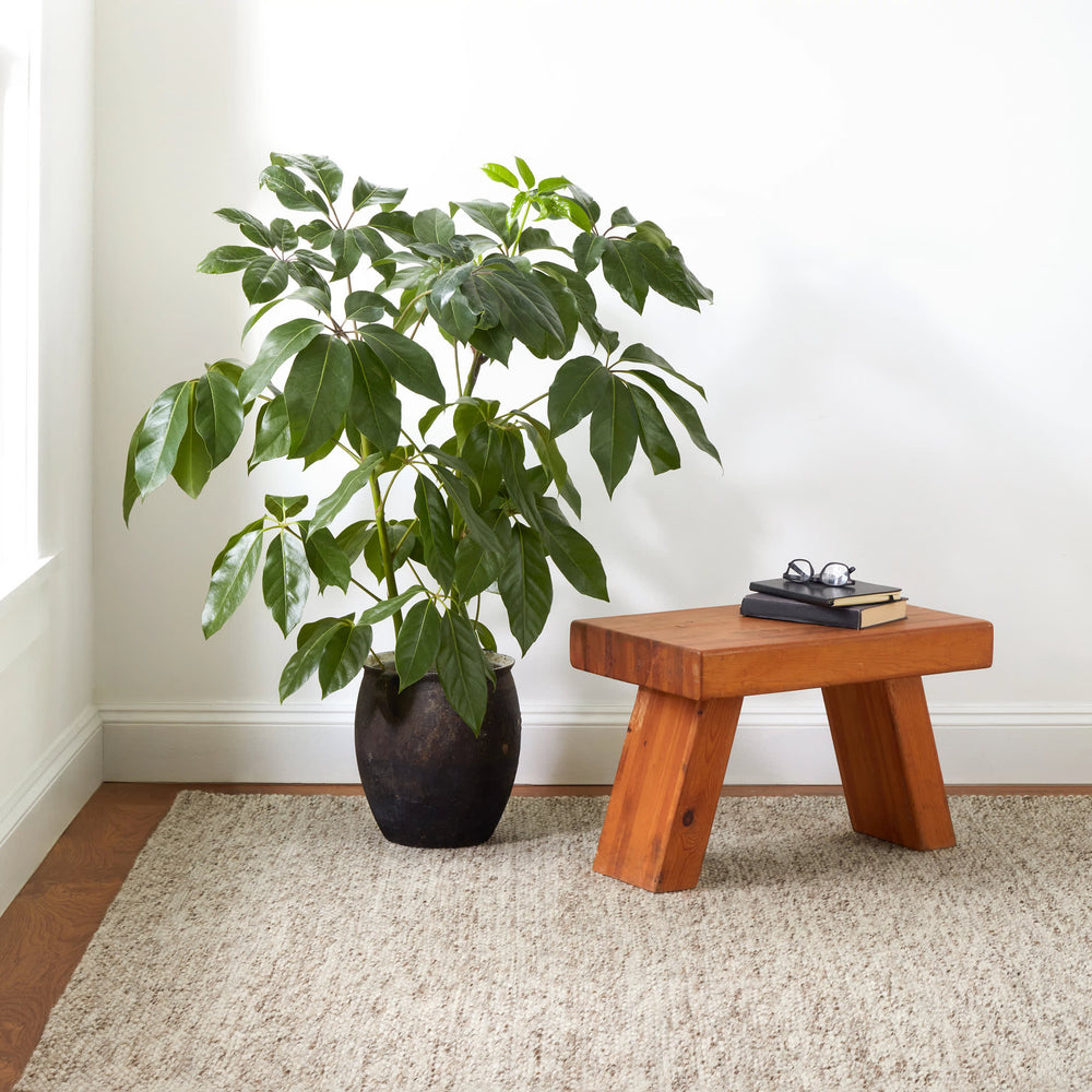 Loggia Handwoven Wool Rug | Natural