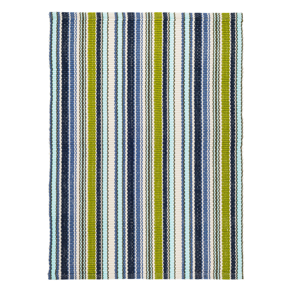 Pond Stripe Handwoven Indoor/Outdoor Rug | Multi