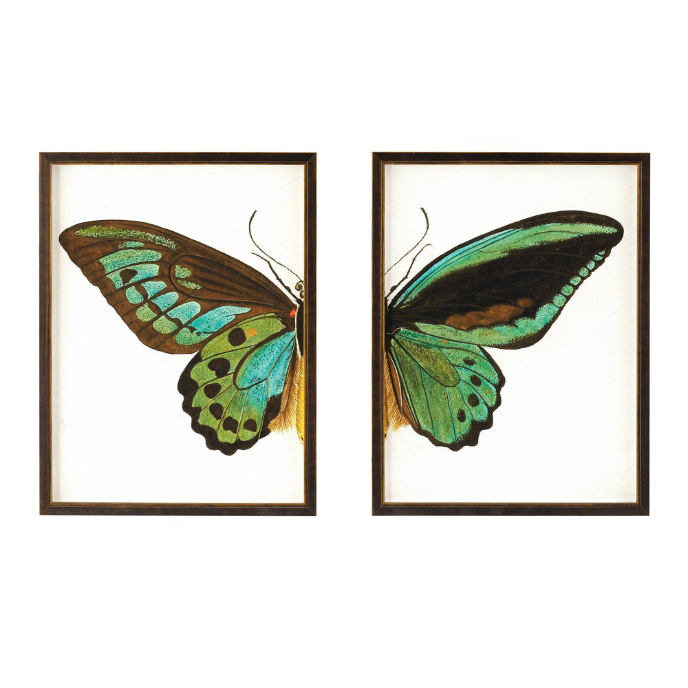 Wingspan Wall Art | Green