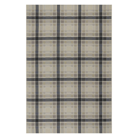 Mesael Modern Plaid Indoor Rug | Blue