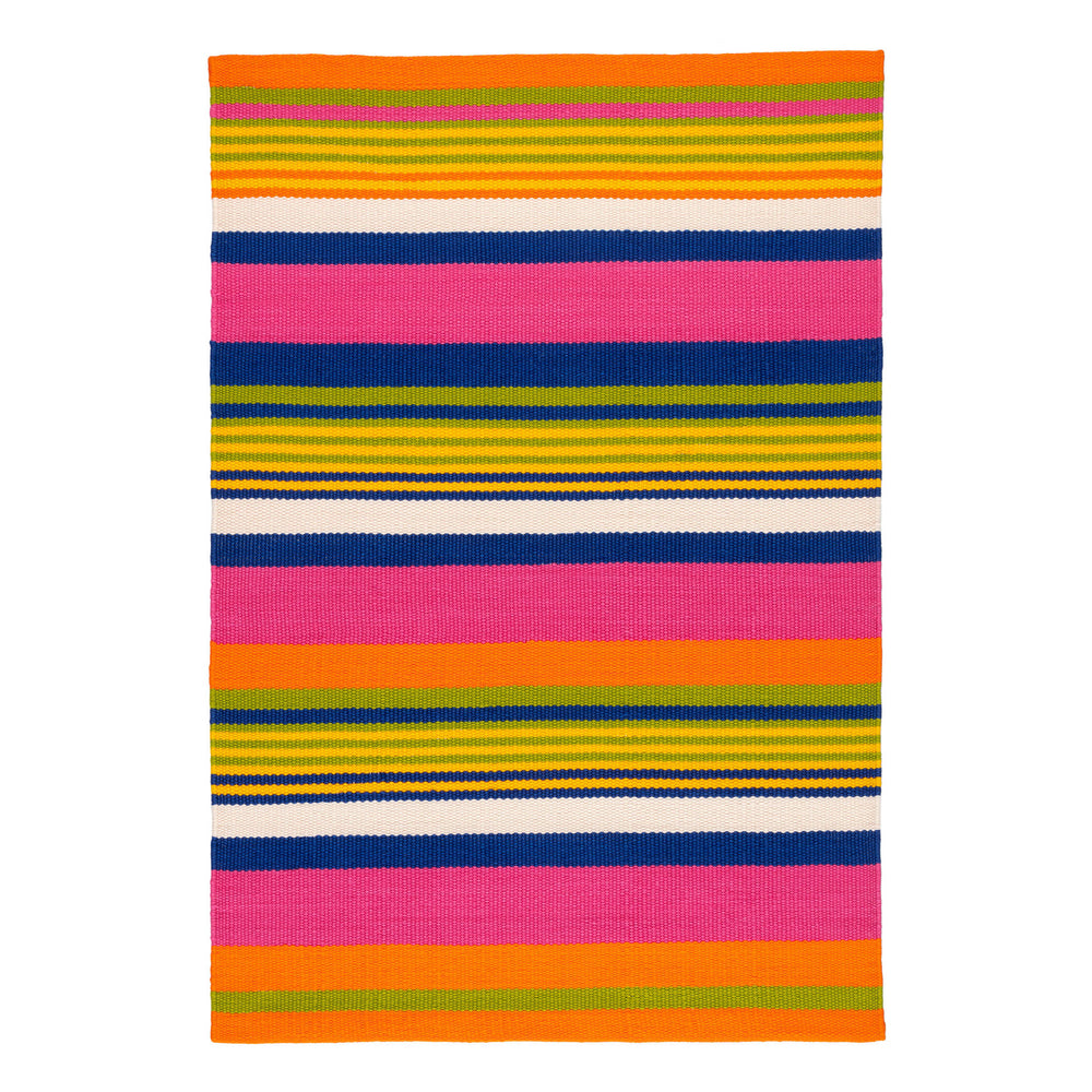 Sunny Stripe Handwoven Indoor/Outdoor Rug | Multi