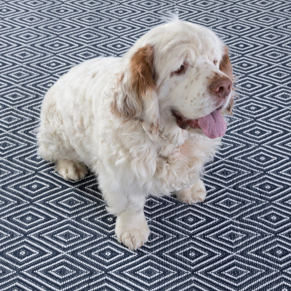 Diamond Handwoven Indoor/Outdoor Rug | Navy/Ivory