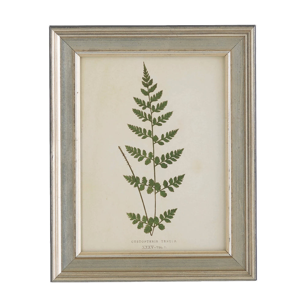Vintage Fern Wall Art | Ivory