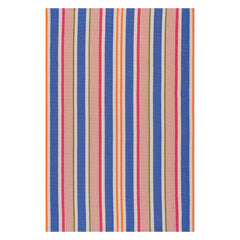 Festival Stripe Handwoven Indoor/Outdoor Rug | Multi