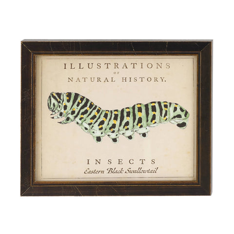 Vintage Caterpillar Wall Art | Ivory