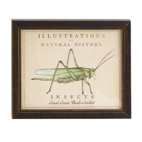 Vintage Grasshopper Wall Art | Ivory
