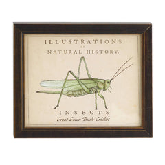 Vintage Grasshopper Wall Art | Ivory