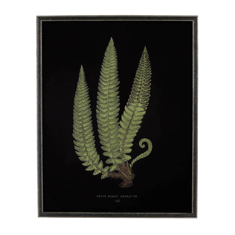 Vintage Fern Wall Art | Black