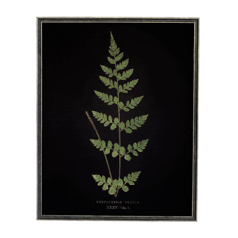 Vintage Fern Wall Art | Black