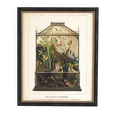 Vintage Vivarium Wall Art | Ivory