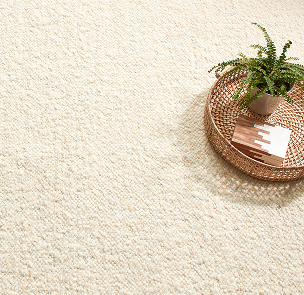 Ivory Rugs