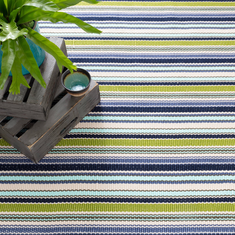 Pond Stripe Handwoven Indoor/Outdoor Rug | Multi