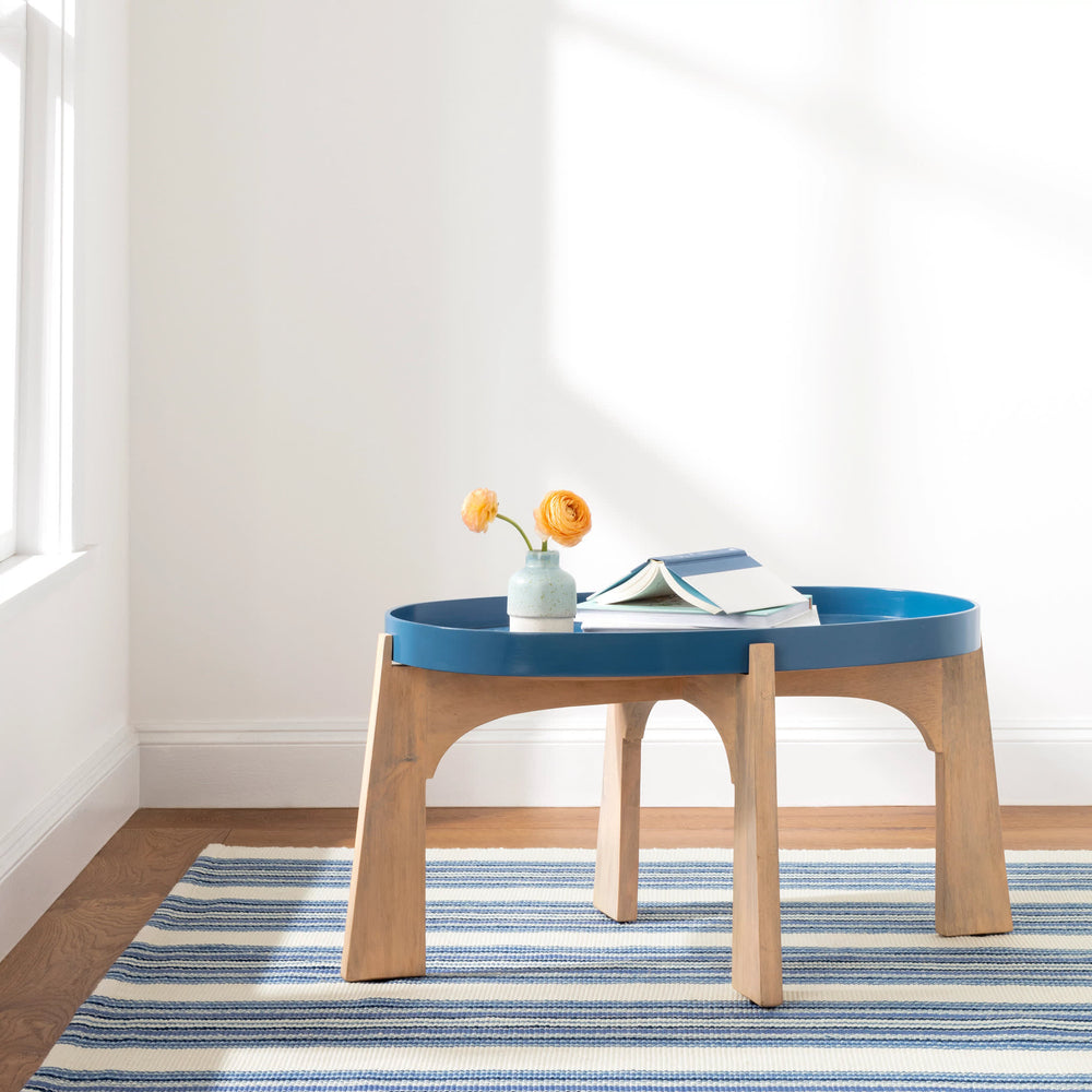 Road Runner Handwoven Indoor/Outdoor Rug | Blue