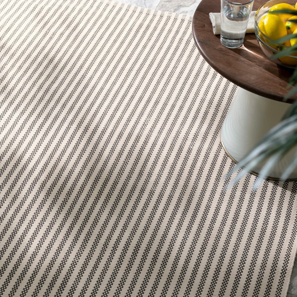 Pinstripe Handwoven Indoor/Outdoor Rug | Brown/Ivory