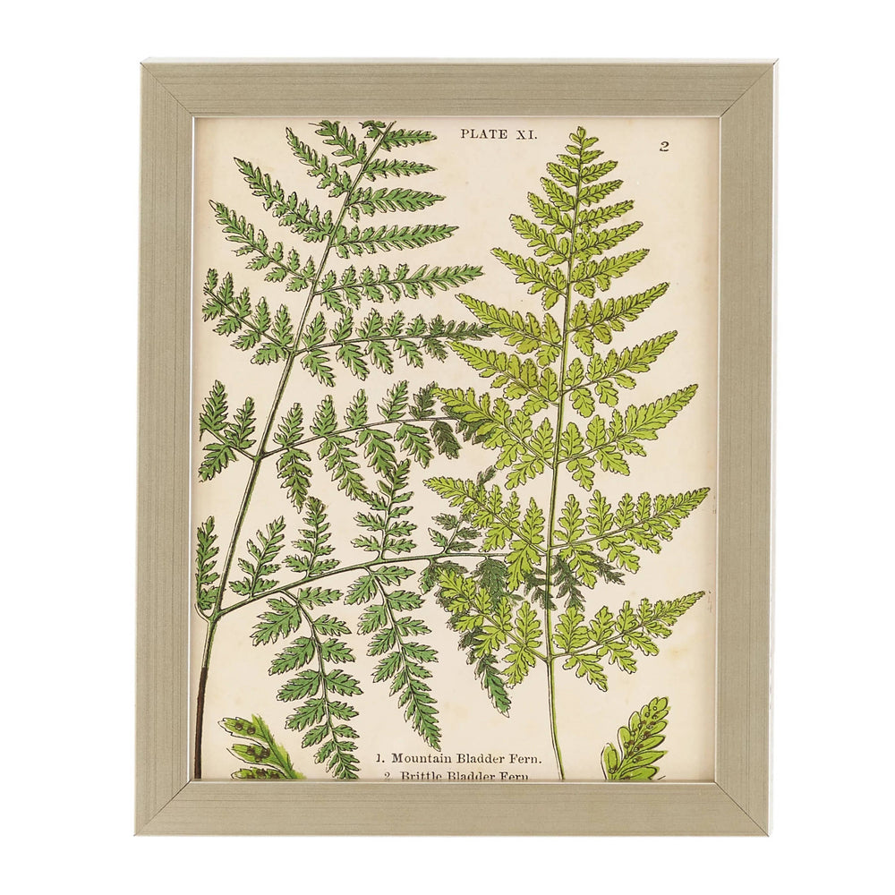Vintage Fern Collage Wall Art | Ivory