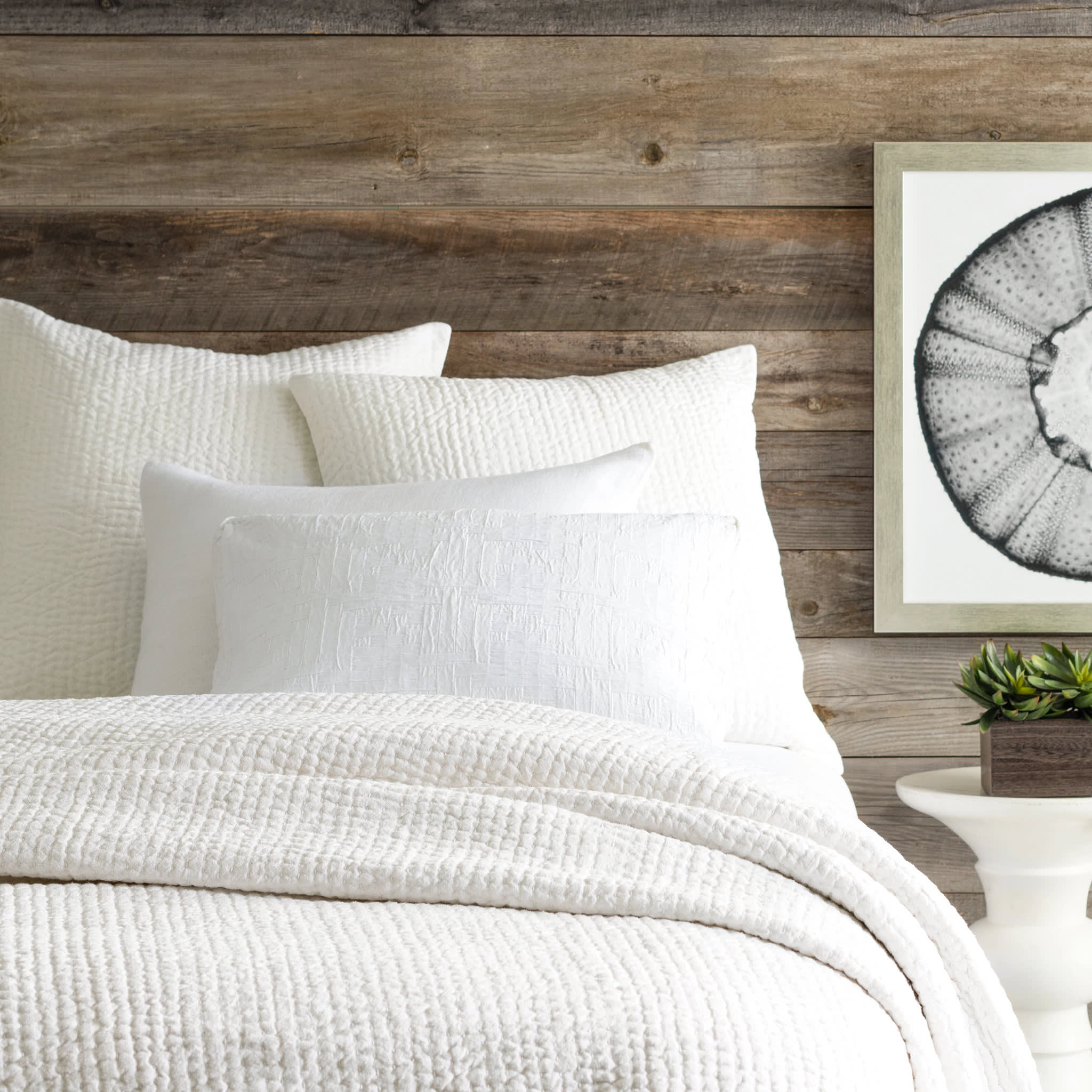 Seychelles Dove Quilt