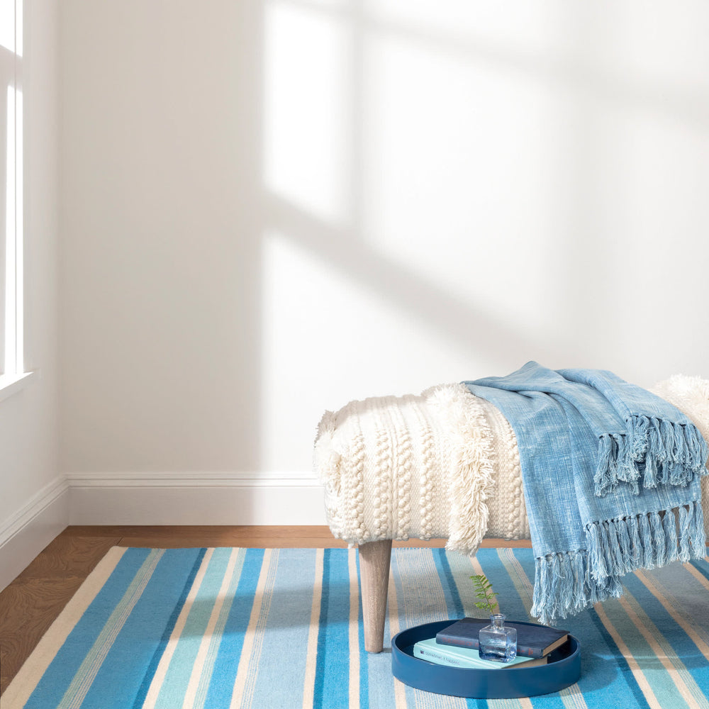 Seed Stitch Stripe Handwoven Indoor/Outdoor Rug | Blue
