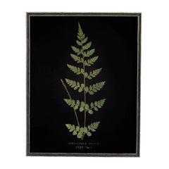 Vintage Fern Wall Art | Black